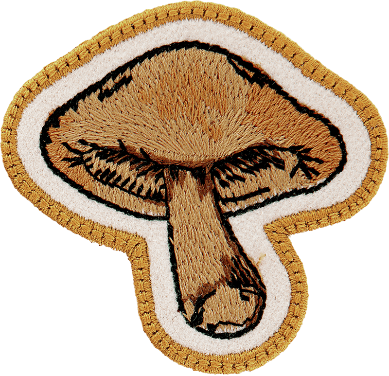 Mushroom Patch