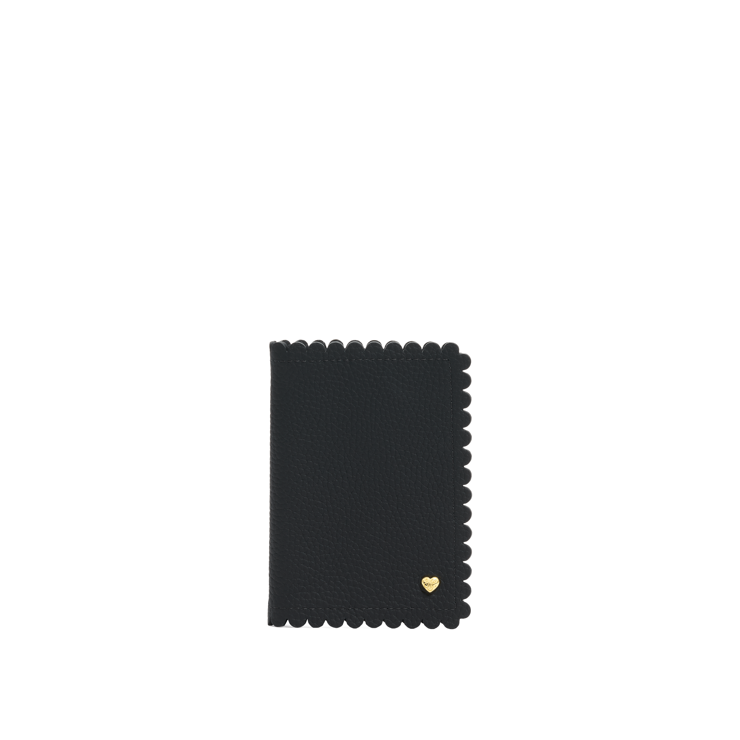 Pittsford Passport Case